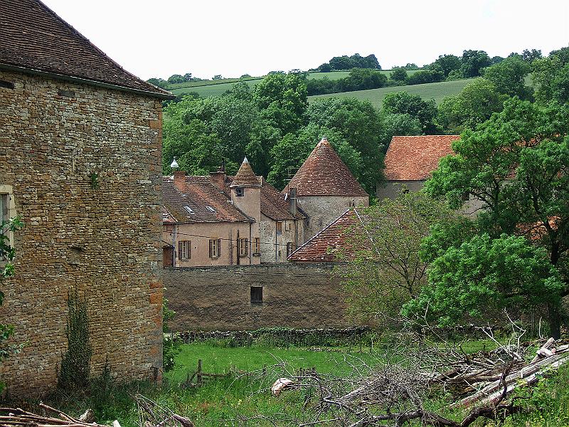 2010-05- (78).JPG